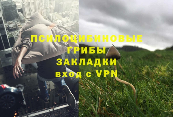PSILOCYBIN Заводоуковск