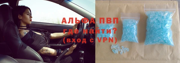 PSILOCYBIN Заводоуковск