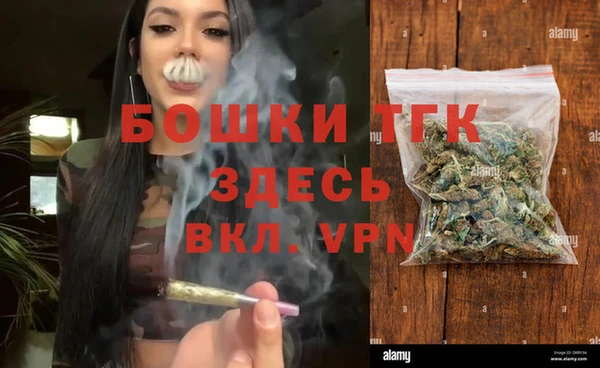 PSILOCYBIN Заводоуковск