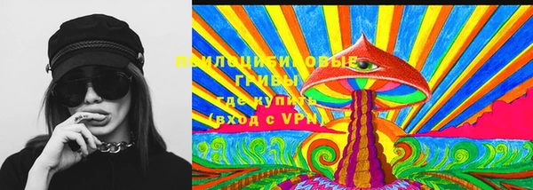 PSILOCYBIN Заводоуковск