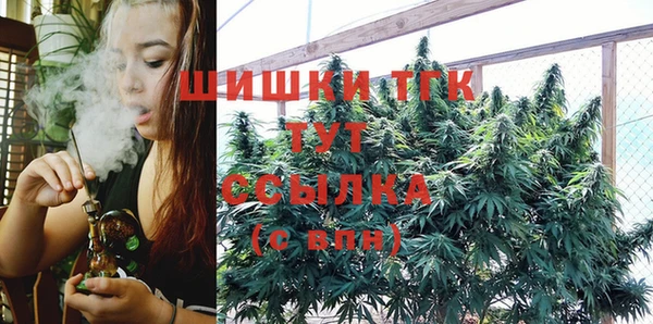 PSILOCYBIN Заводоуковск