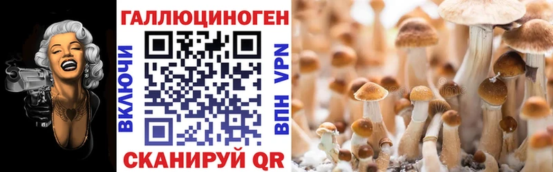 Галлюциногенные грибы Magic Shrooms  omg как войти  Задонск 